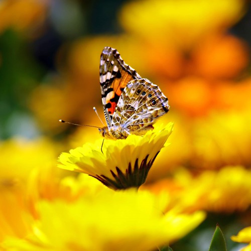 PIXNIO-1891866-3456x2304.jpg